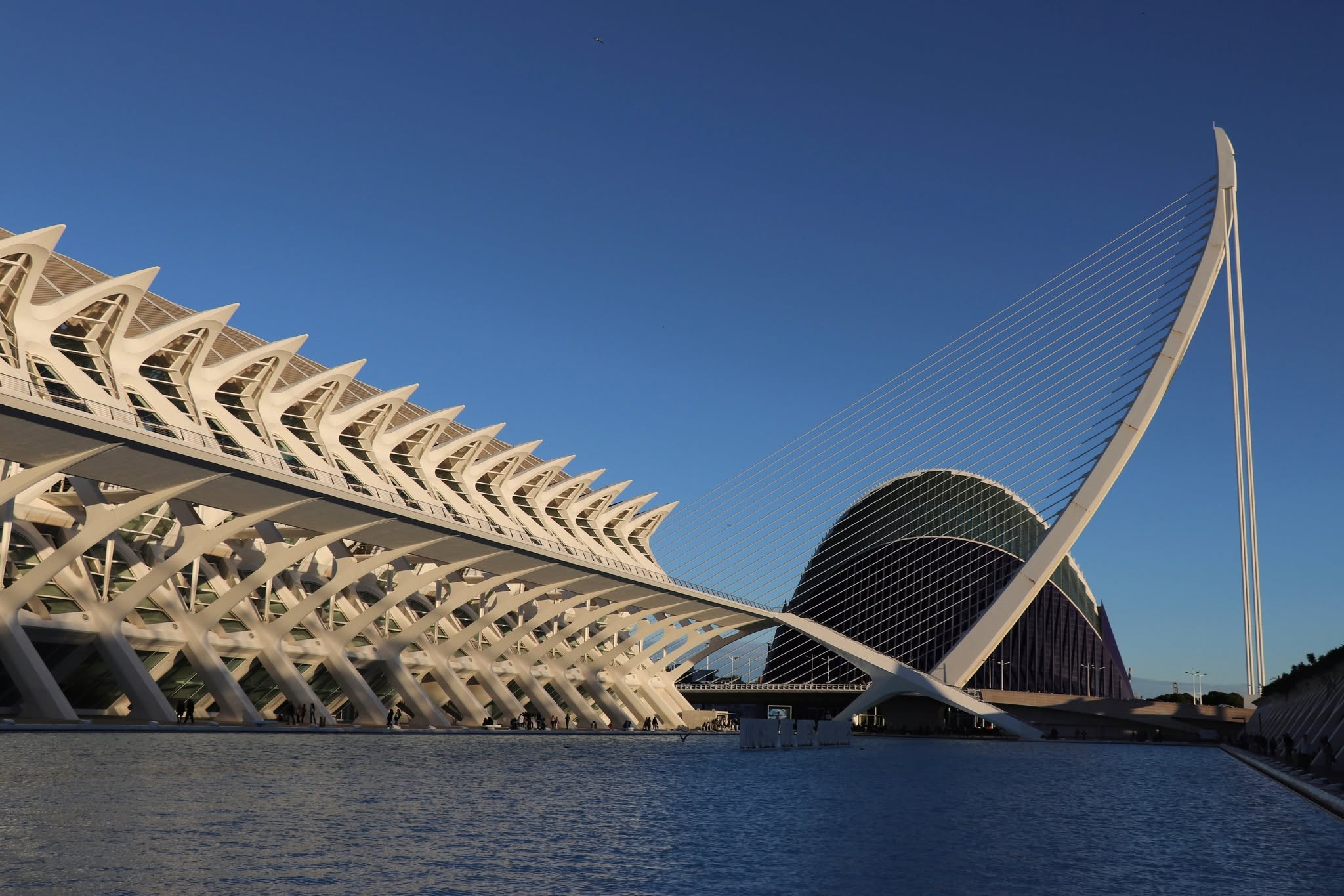 Cité des Arts et des Sciences de Valence en Espagne