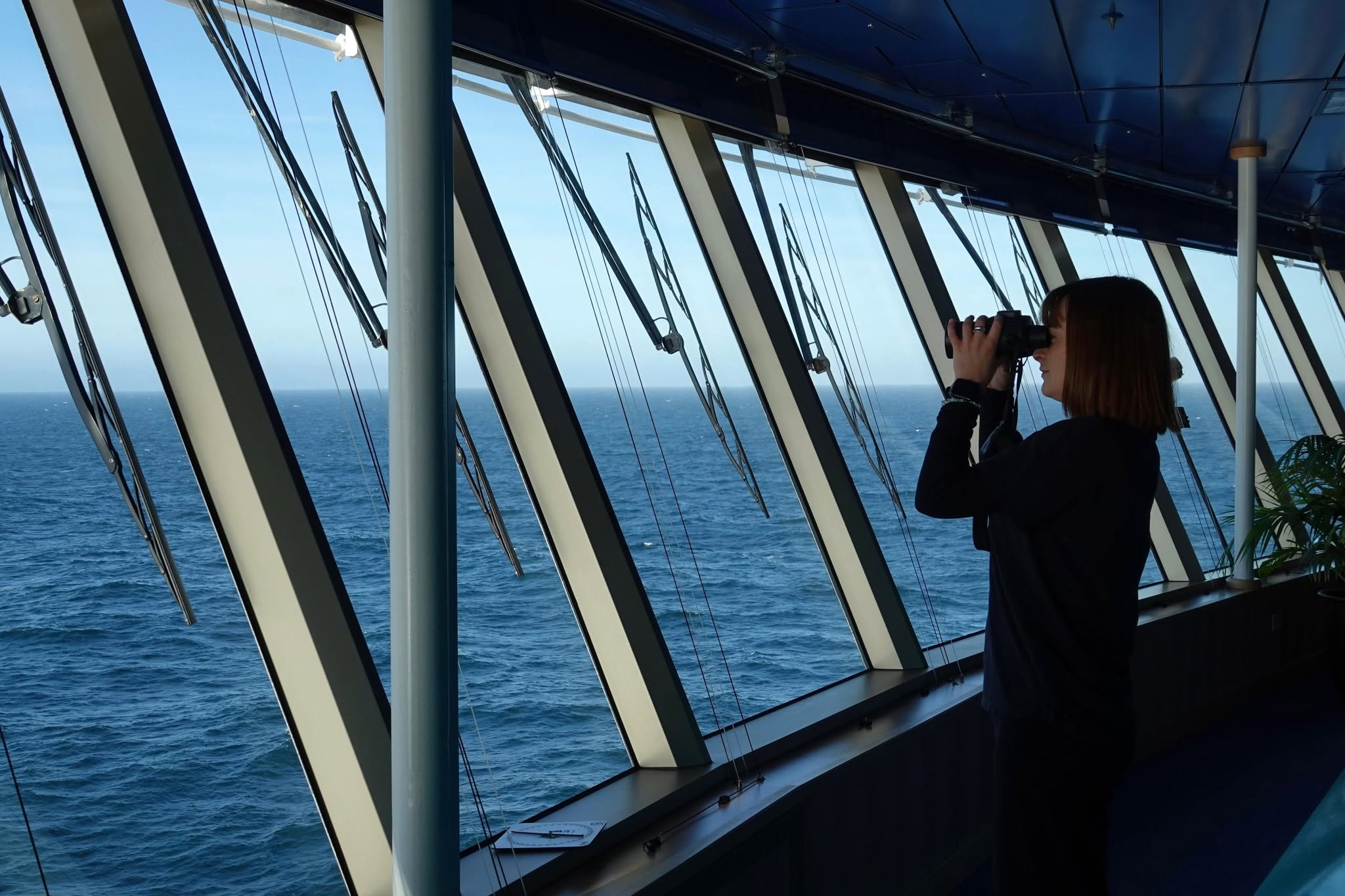 Observation des mammifères marins depuis la passerelle du MSC Poesia