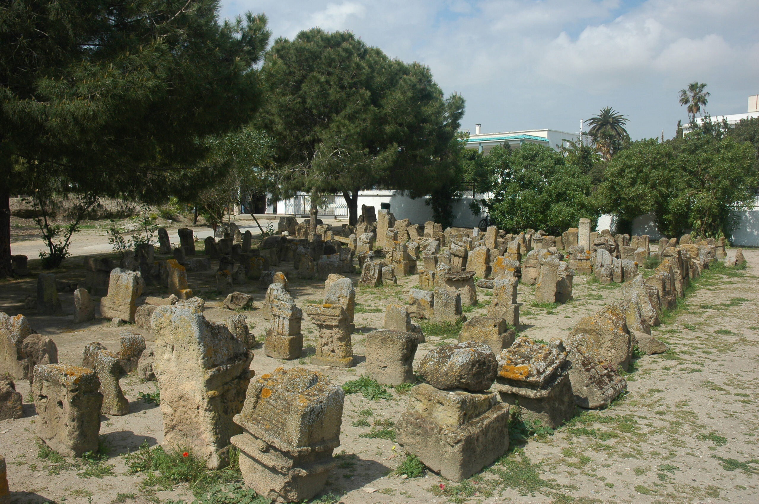 Tophet de Carthage et ses stèles puniques