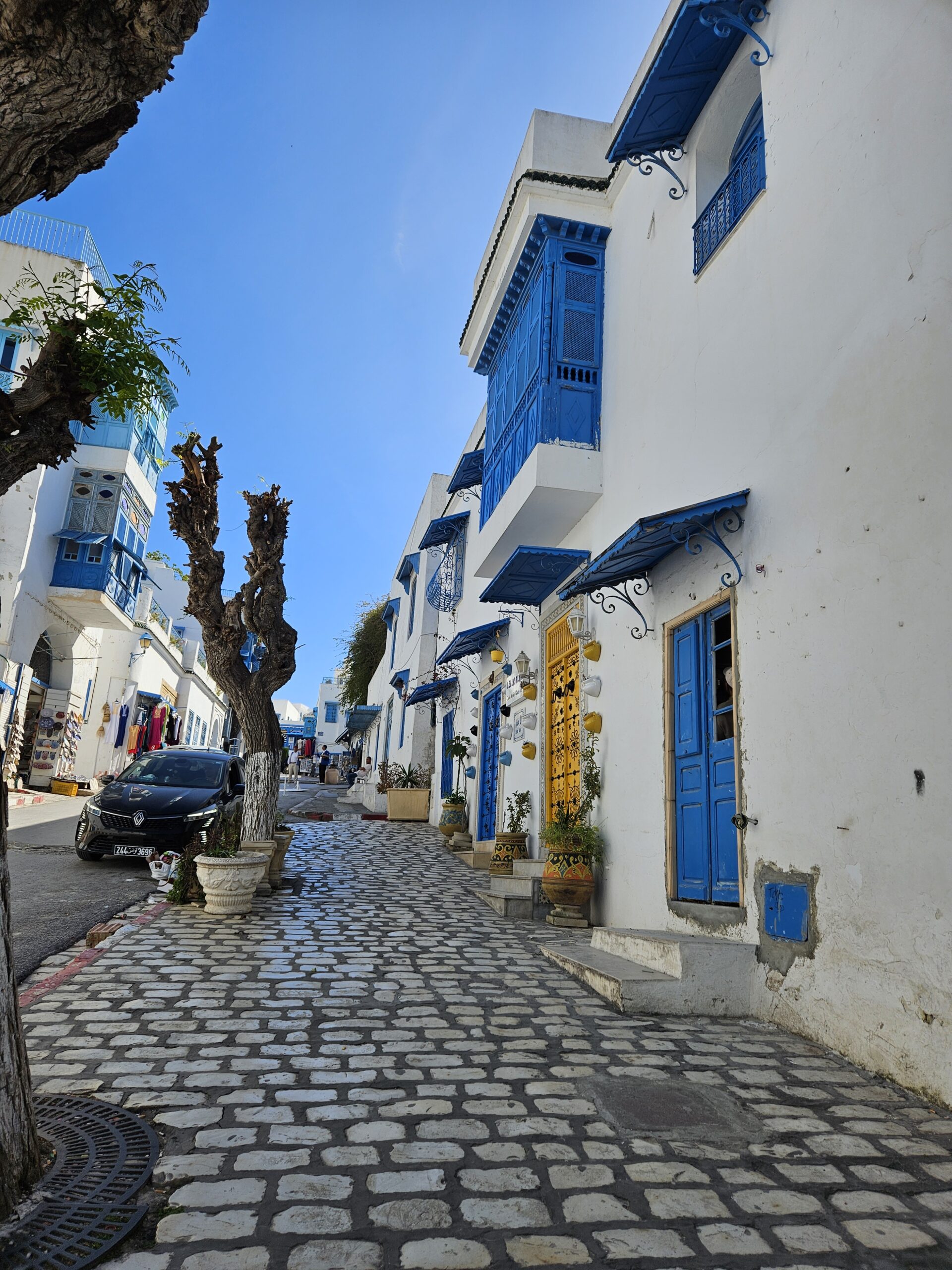 Ruelle blanche et bleue de Sidi Bou Saïd