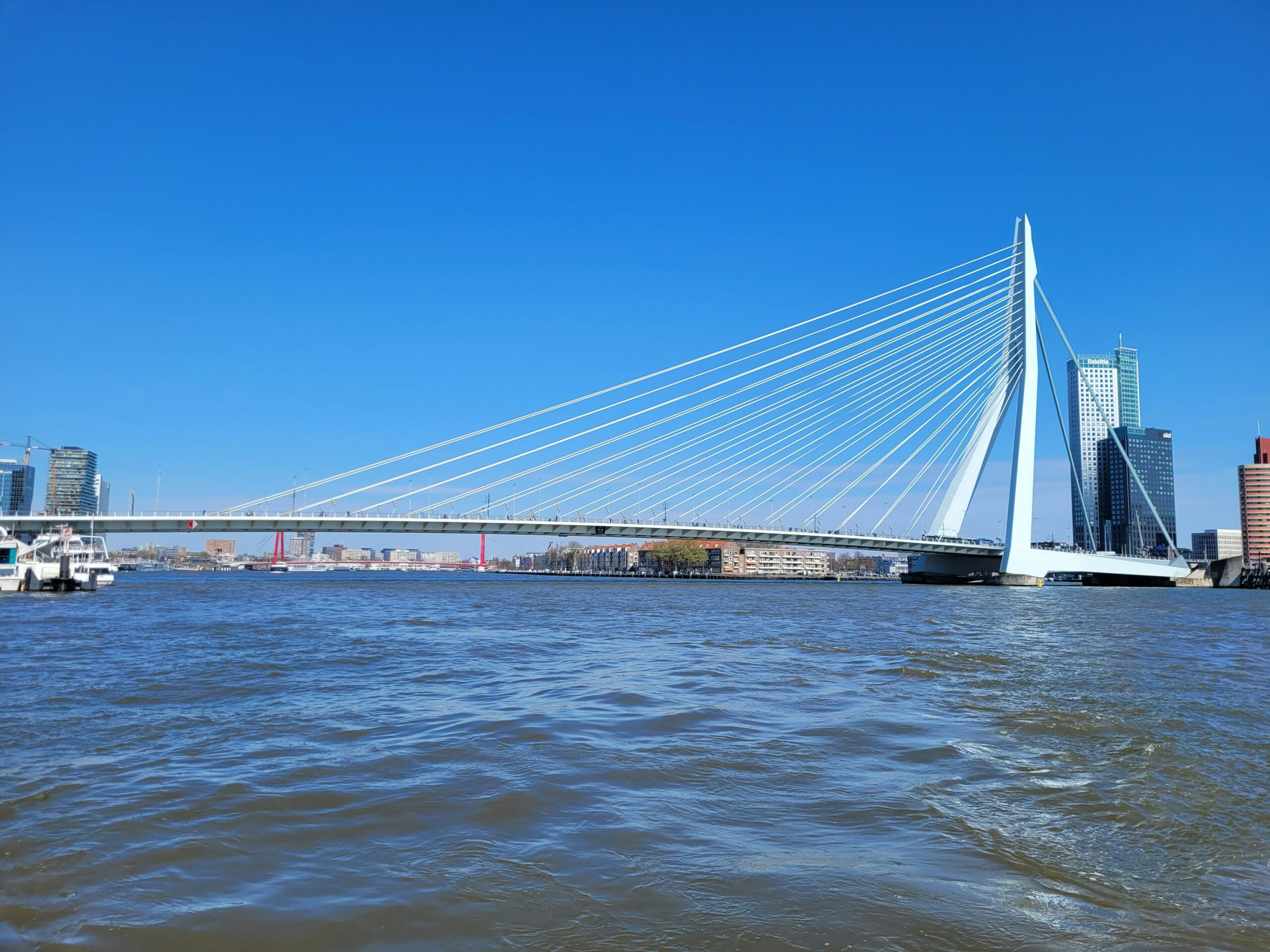 Pont Érasme à Rotterdam