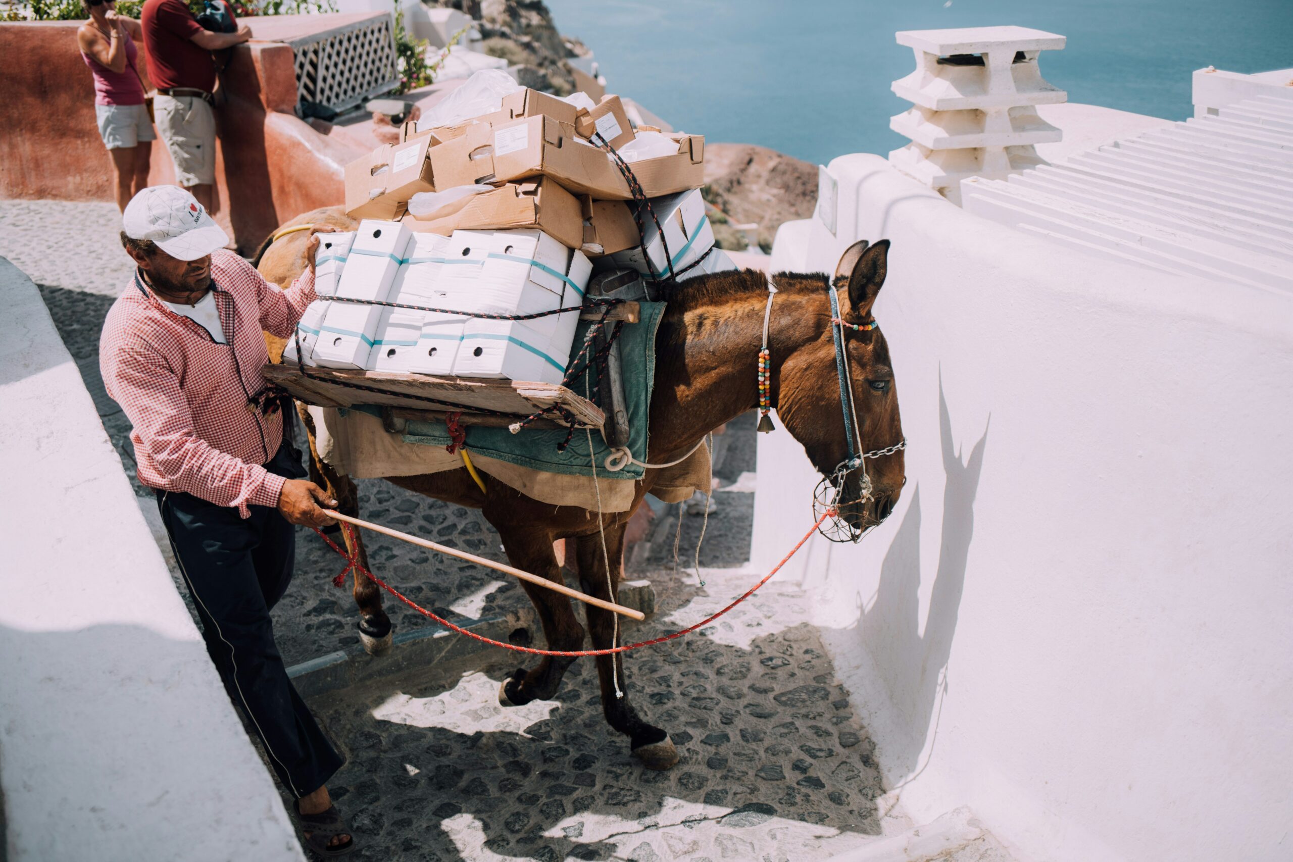 Ânes sur le chemin reliant le vieux port à Fira à Santorin