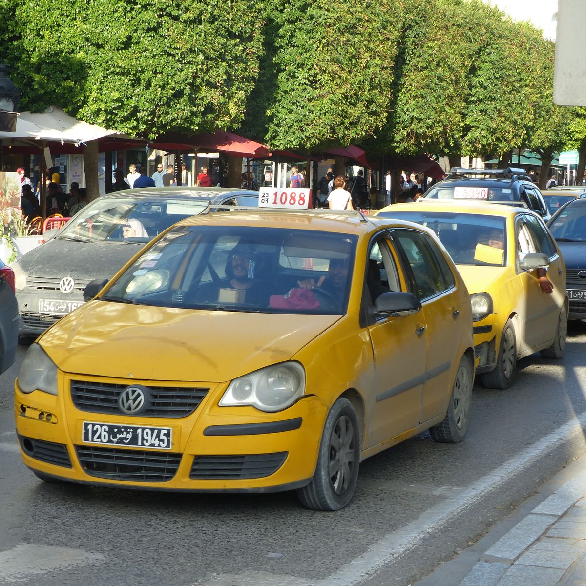 Taxi à Tunis pour rejoindre Carthage et Sidi Bou Saïd