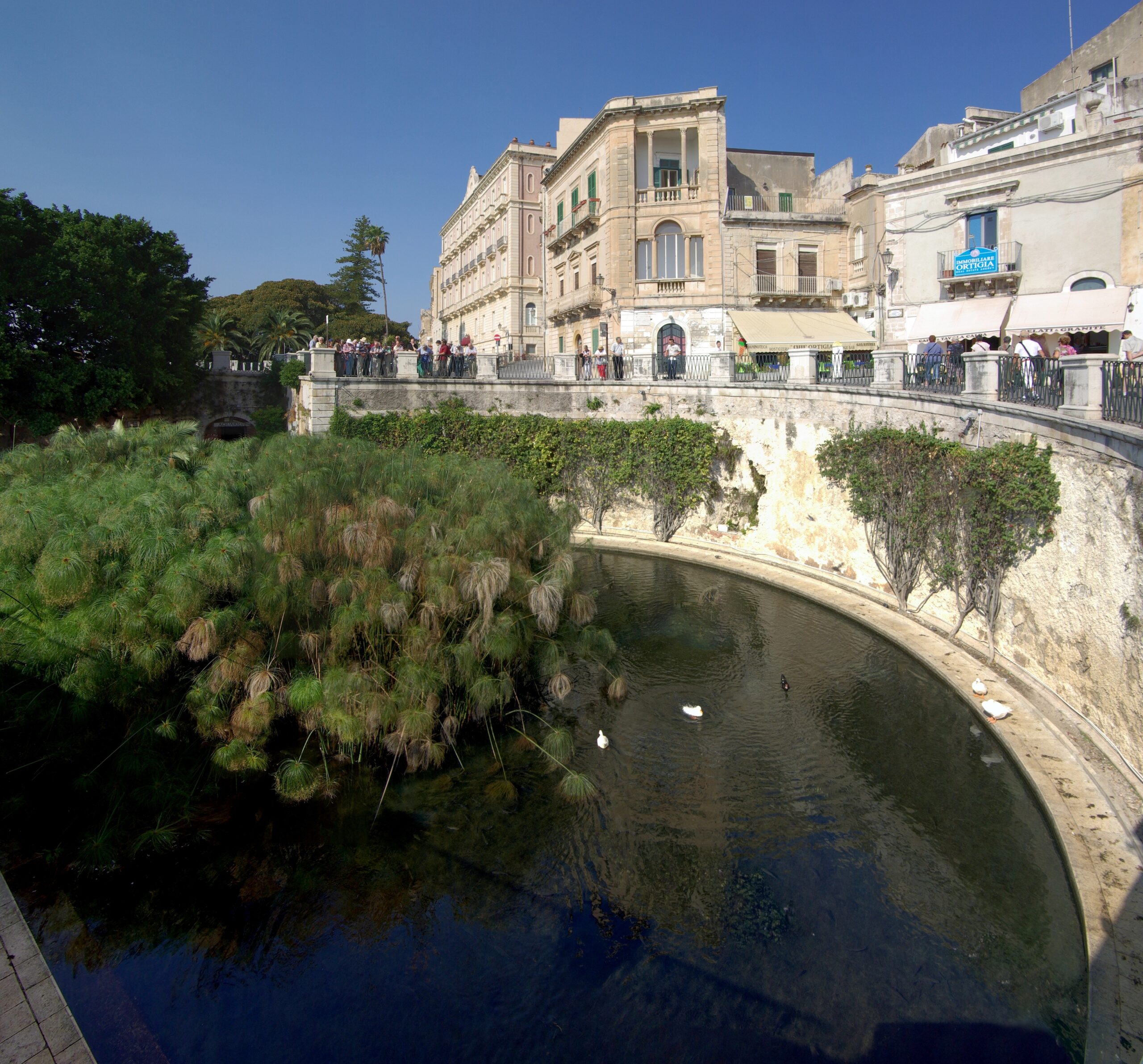 Fonte Aretusa et front de mer d’Ortigia à Syracuse
