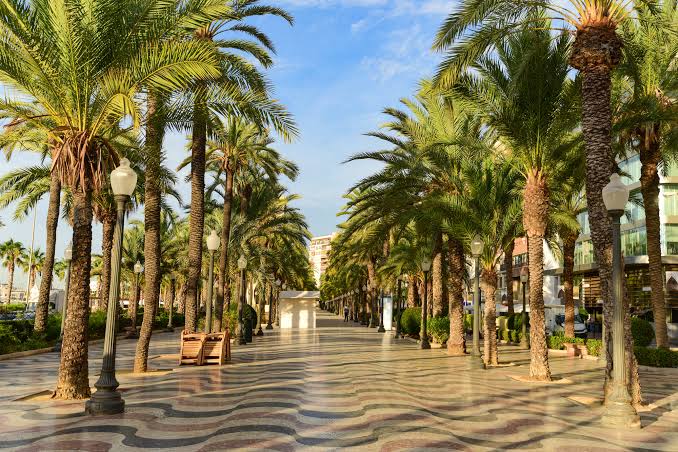 Explanada de España à Alicante bordée de palmiers