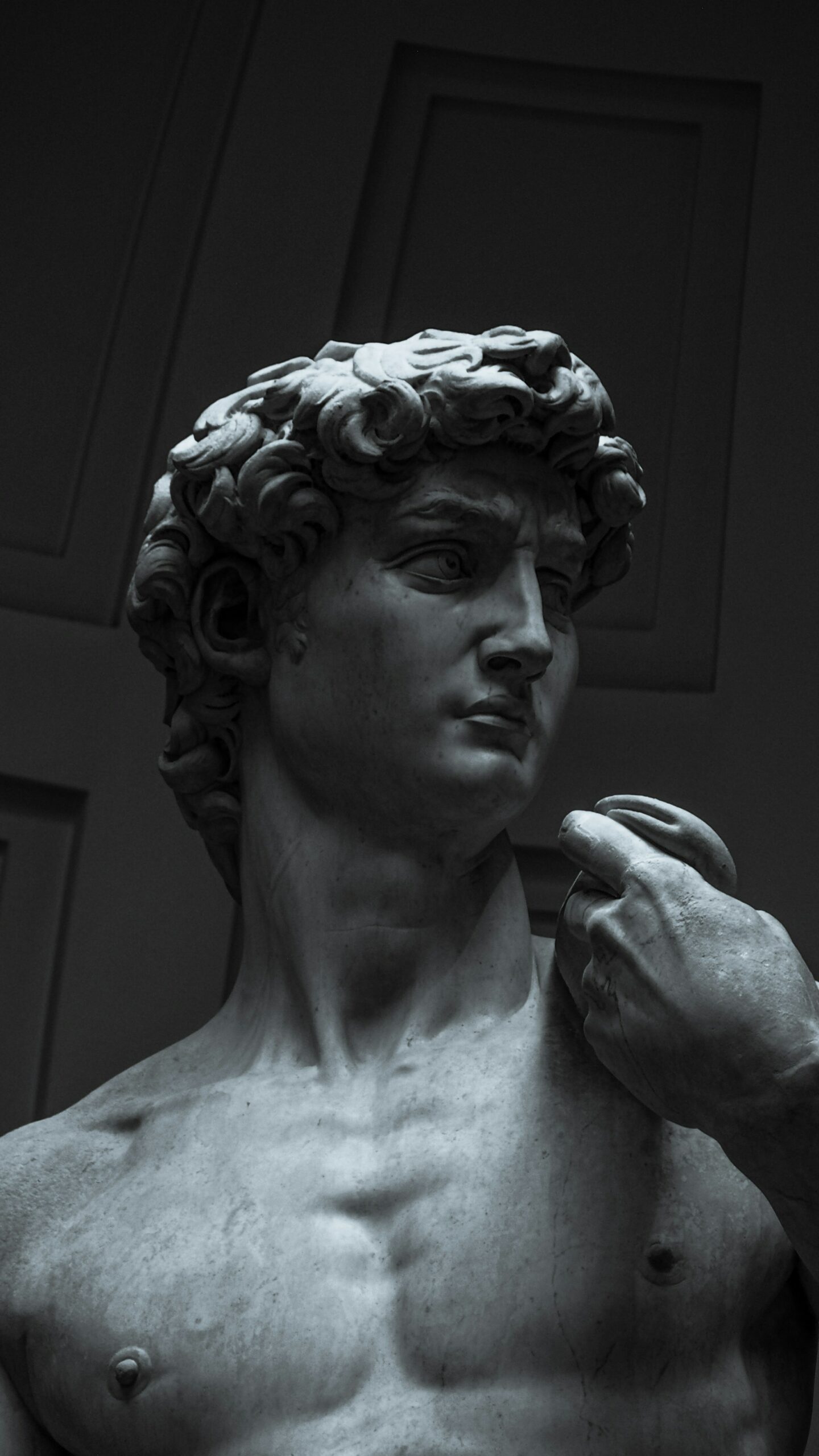 David de Michel-Ange à la Galleria dell'Accademia de Florence