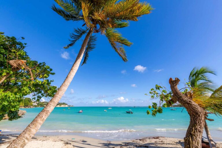 Vue de Pointe-à-Pitre en Guadeloupe depuis le secteur du port